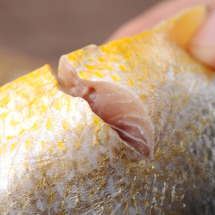 三都港 冷冻三去黄花鱼500g/3条装 小黄鱼 深海鱼 生鲜鱼类 海鲜 年货 菜管家商品