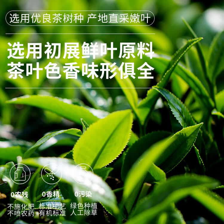 积庆里英红九号原产地大份量自饮口粮茶袋装英德红茶经典小条300g 菜管家商品