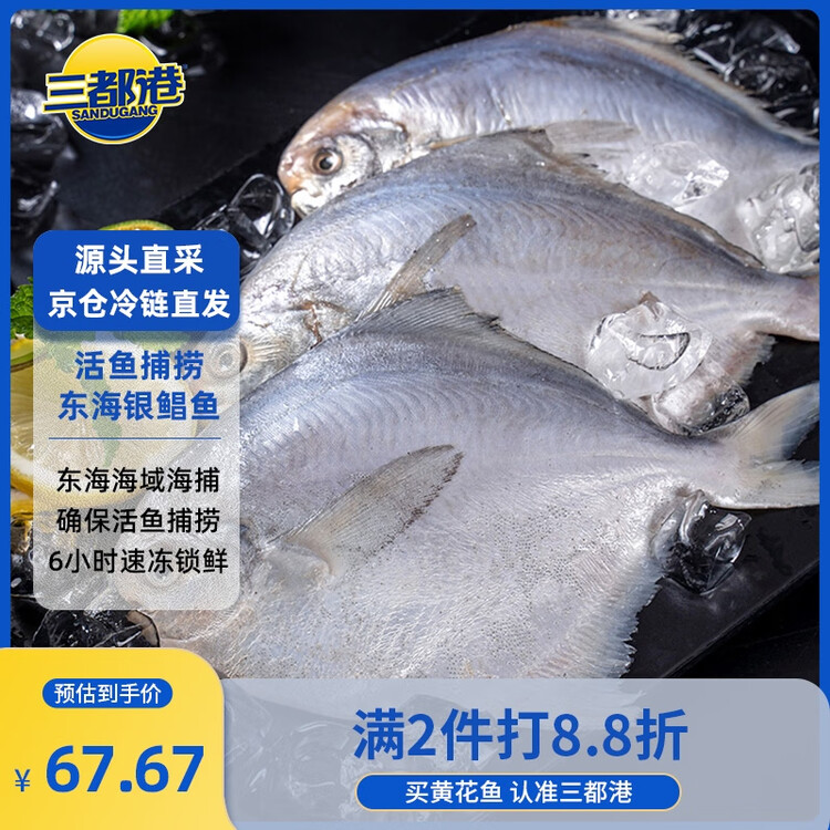 三都港 冷冻东海银鲳鱼450g/3条装 平鱼 深海鱼 生鲜鱼类 海鲜 年货 菜管家商品