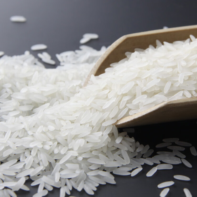 福泰隆 上品茉莉香米 大米5kg 长粒香米 籼米 光明服务菜管家商品 