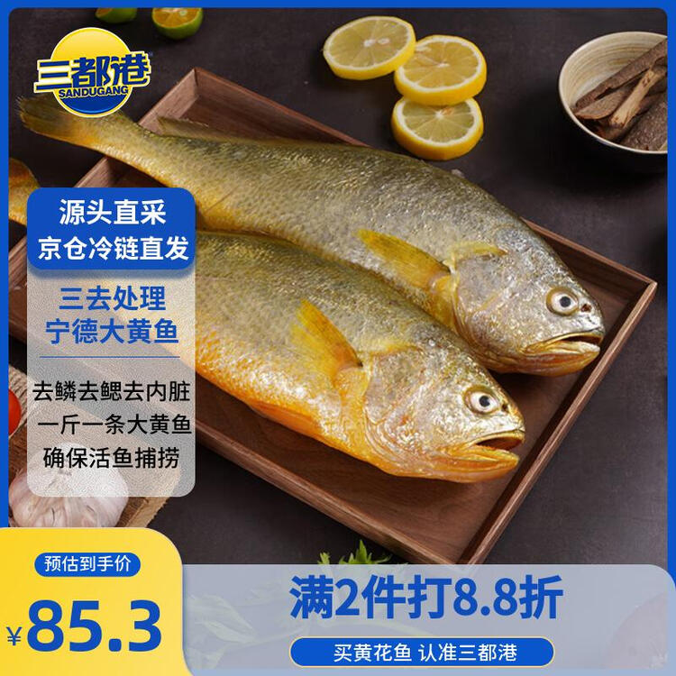 三都港 冷冻三去黄花鱼2斤/2条装 宁德大黄鱼 生鲜鱼类 海鲜 年货 菜管家商品