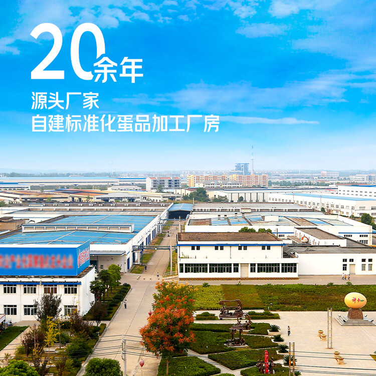 神丹  咸鸭蛋 20枚1.3kg 礼盒装  油黄沙润咸鸭蛋 年货礼盒团购礼品 菜管家商品