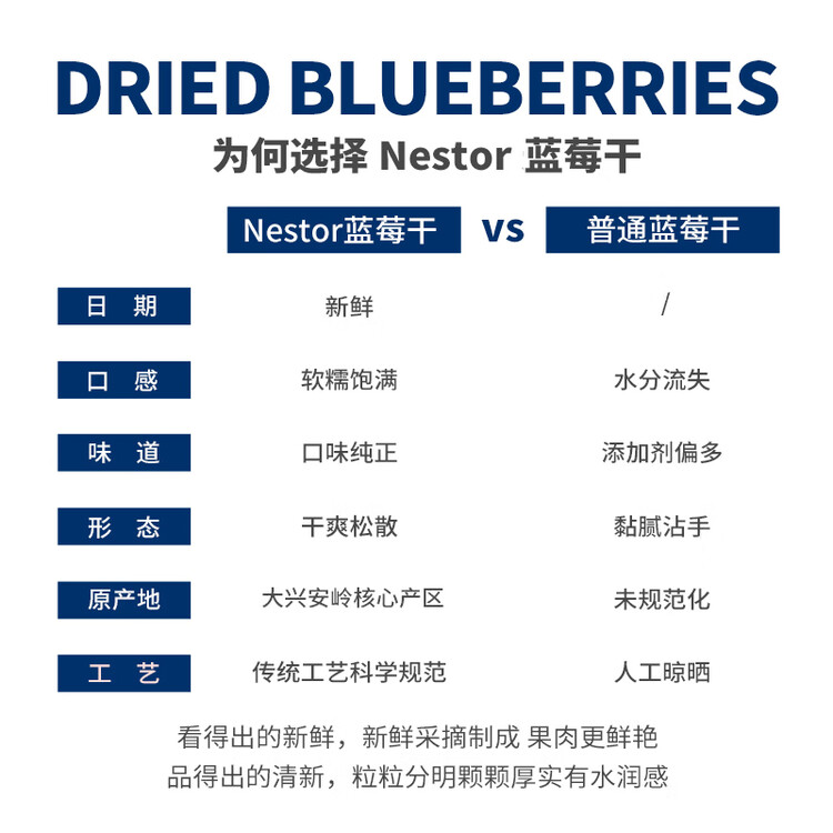 Nestor蓝莓干无添加剂无色素烘焙饼干可用办公室护眼休闲零食蜜饯100g 菜管家商品