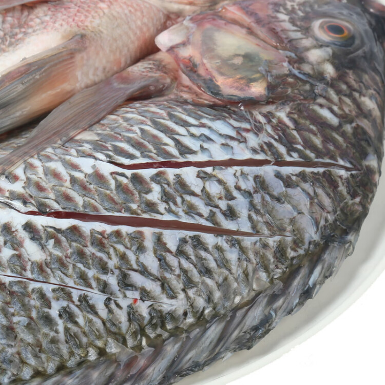 翔泰泰式烤鱼580g 罗非鱼 生鲜 鱼类 烧烤 海鲜水产 光明服务菜管家商品 