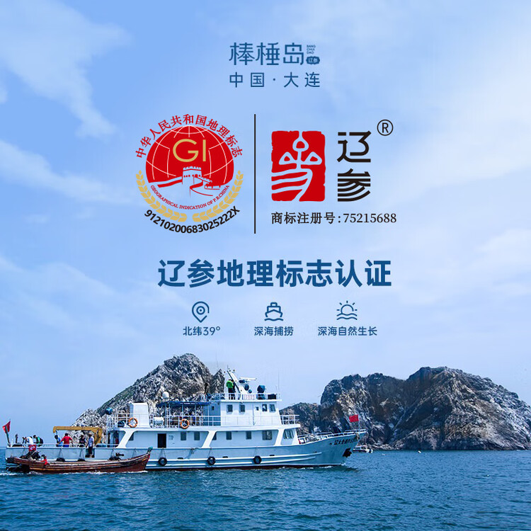 棒棰岛大连冷冻海参800g礼盒 16-20只 固形物≥85% 非即食辽刺参 免泡发 菜管家商品