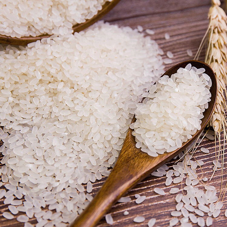 福临门 优质东北大米 20斤 菜管家商品