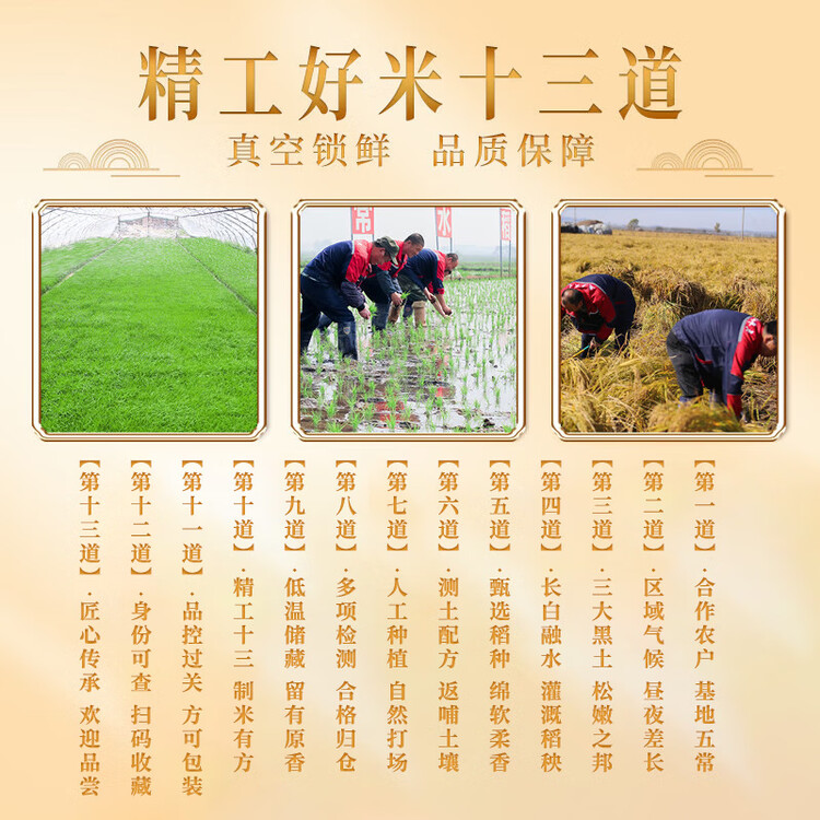 裕道府五常大米20斤 东北大米10kg 2025年新米 自营年货 菜管家商品