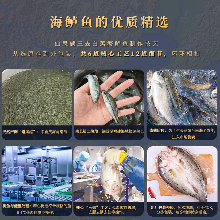 仙泉湖三去白蕉海鲈鱼1斤/条净膛冷冻刺少肉厚珠海特产500g生鲜年货食材 菜管家商品