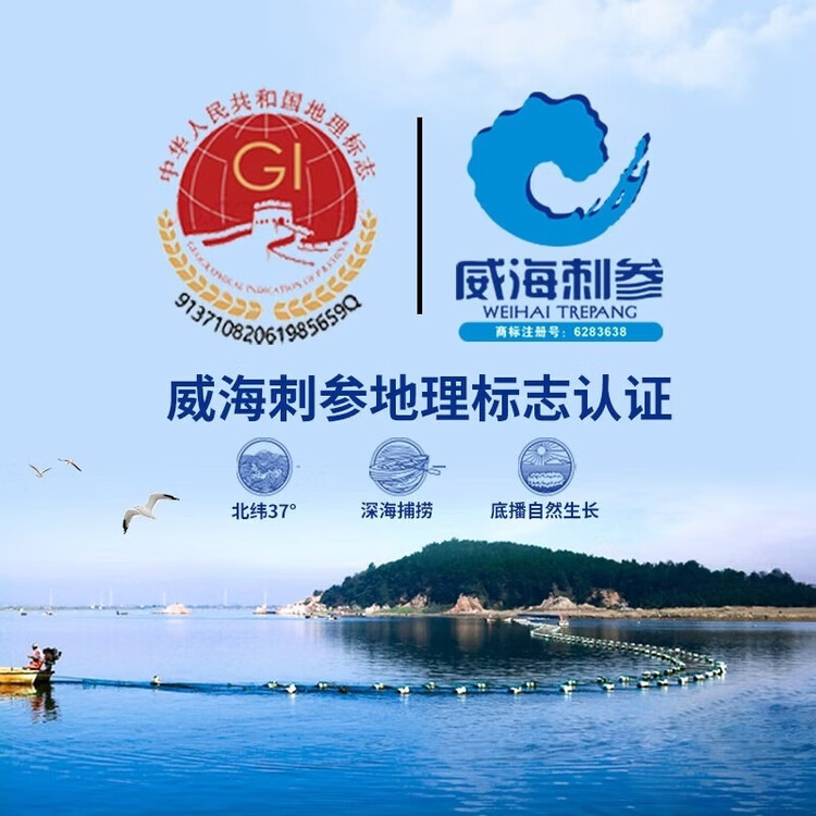 好当家 威海有机干海参 50g 10-12只 节日伴手礼 海鲜干货  菜管家商品