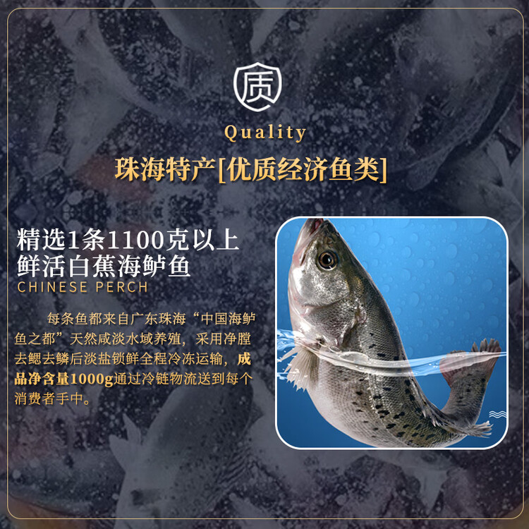 仙泉湖三去大白蕉海鲈鱼2斤/条净膛冷冻刺少肉厚海鲜水产年货生鲜食材 菜管家商品