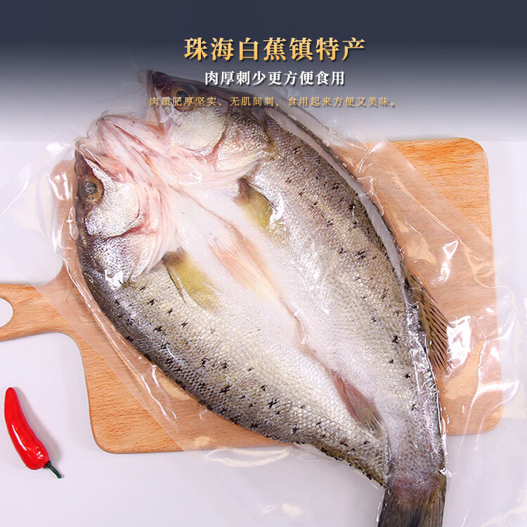 仙泉湖三去白蕉海鲈鱼1斤/条净膛冷冻刺少肉厚珠海特产500g生鲜年货食材 菜管家商品