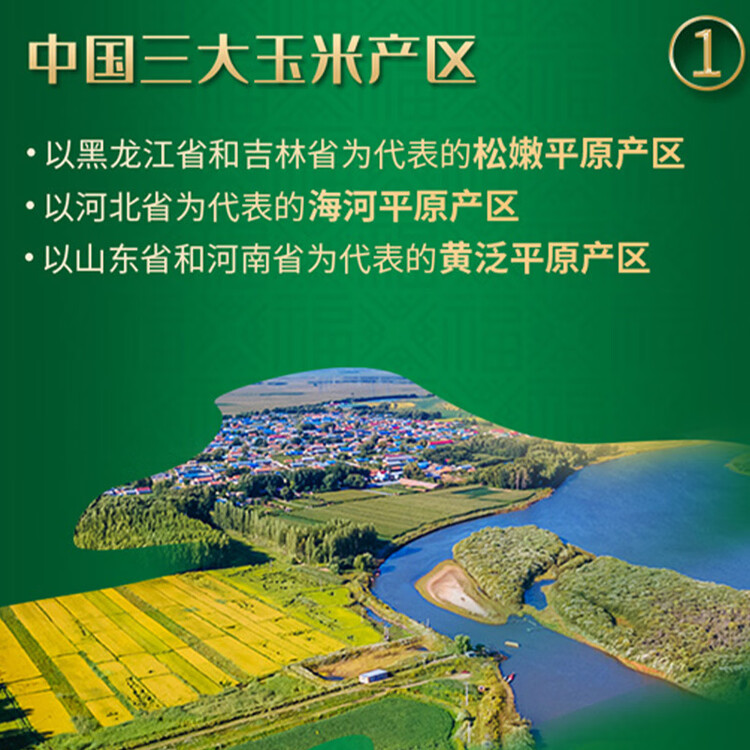 福临门 食用油 非转基因压榨一级黄金产地玉米油900ml（富含植物甾醇） 菜管家商品