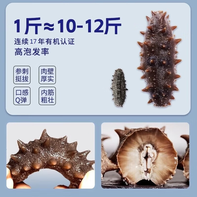 好当家 威海有机干海参 50g 10-12只 节日伴手礼 海鲜干货  菜管家商品