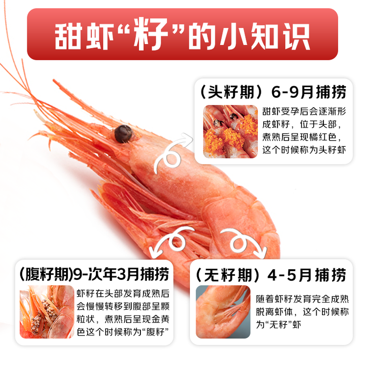 鲜生说 大号头籽北极甜虾净重3斤 40-50只/斤 95-99%头籽率 即食冰虾 菜管家商品