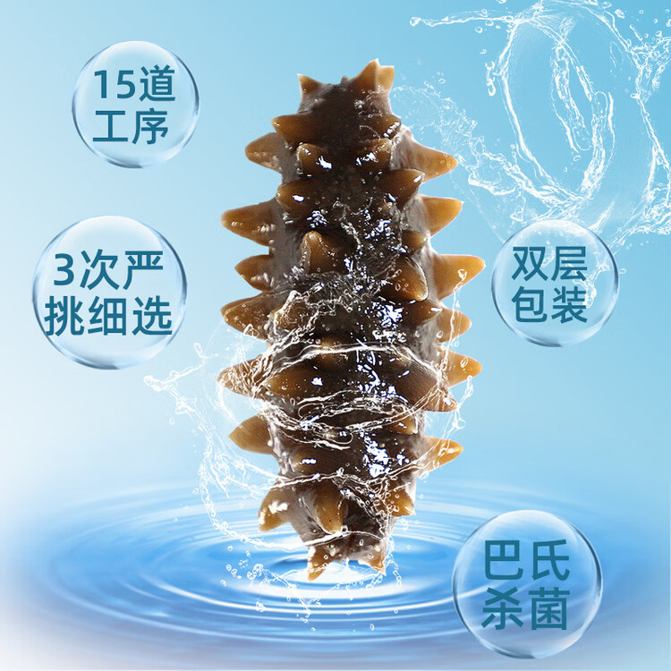 晓芹大连即食海参3斤35-50只 固形物≥75% 辽刺参 海鲜水产 菜管家商品