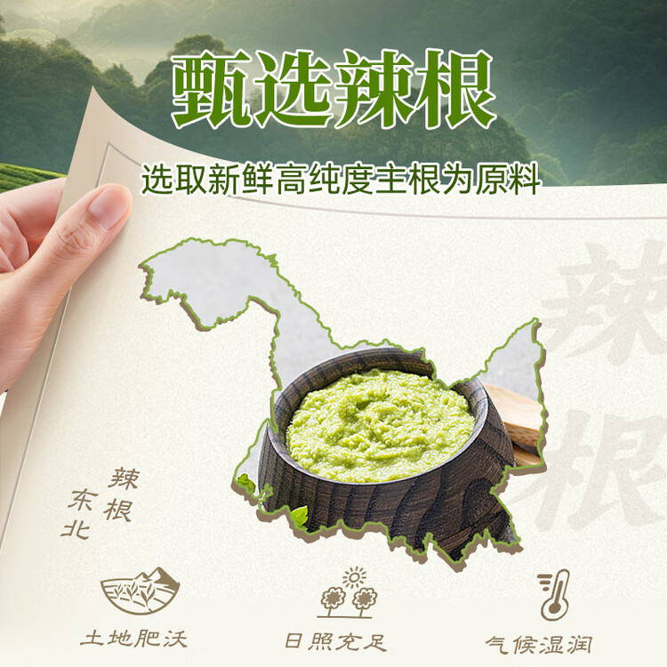 吉得利青芥辣43g 辣根芥末酱 寿司海鲜三文鱼刺身火锅蘸料调味酱 菜管家商品