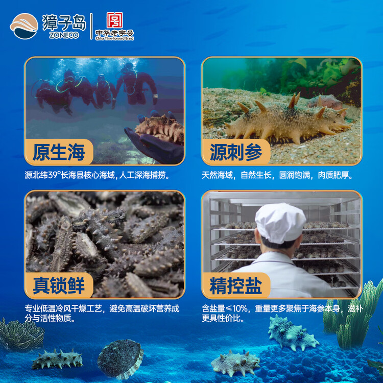 獐子岛 大连淡干海参100g 30-40头 底播辽刺参海鲜水产南北干货送礼礼盒 菜管家商品