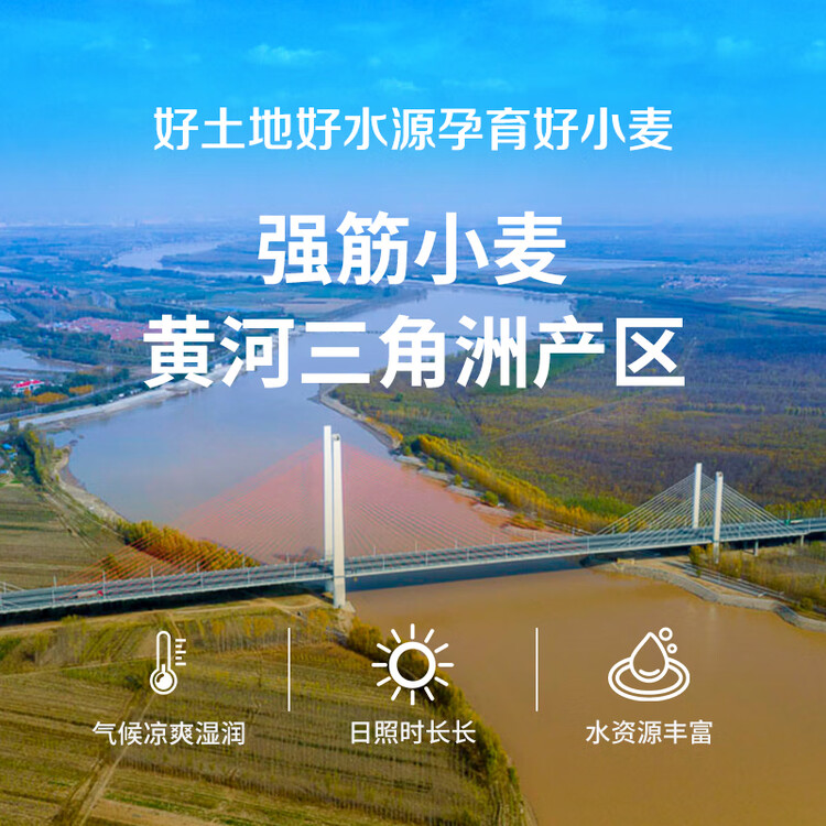 中裕面粉 多用途麦芯粉 馒头包子水饺面条中筋粉家庭通用粉2斤 菜管家商品