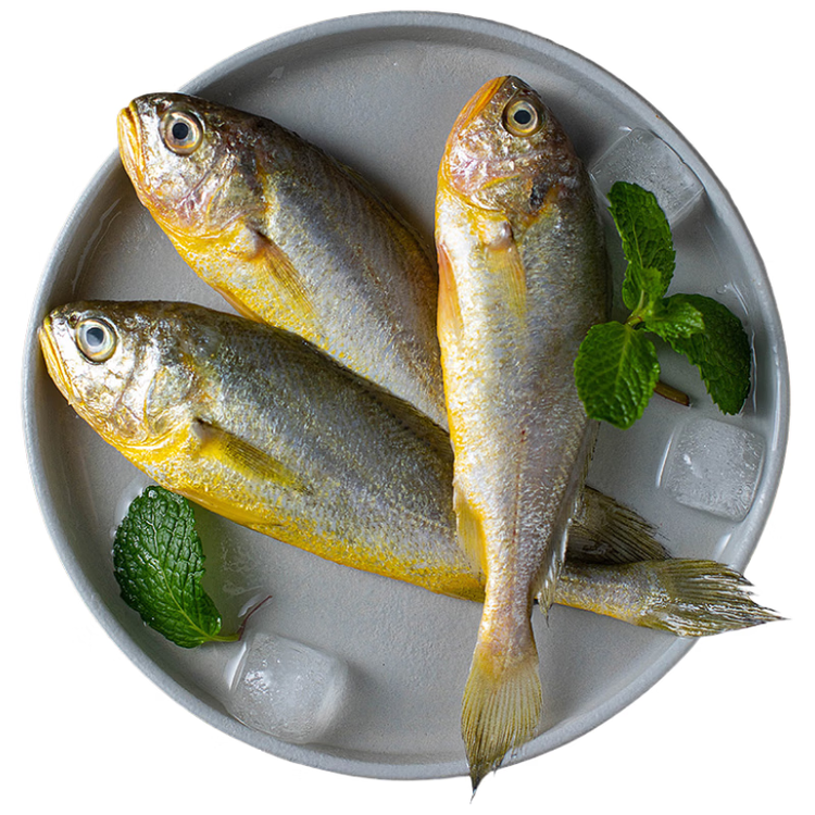 海名威冷冻东海小黄鱼1斤 16-20条 生鲜鱼类海鲜 烧烤 野生海捕 菜管家商品