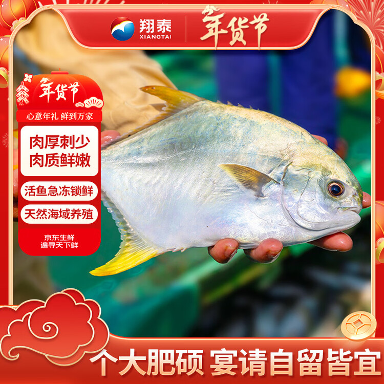 翔泰 海南大规格金鲳鱼550g1条 海鱼 年货节生鲜鱼类 火锅 海鲜水产  菜管家商品
