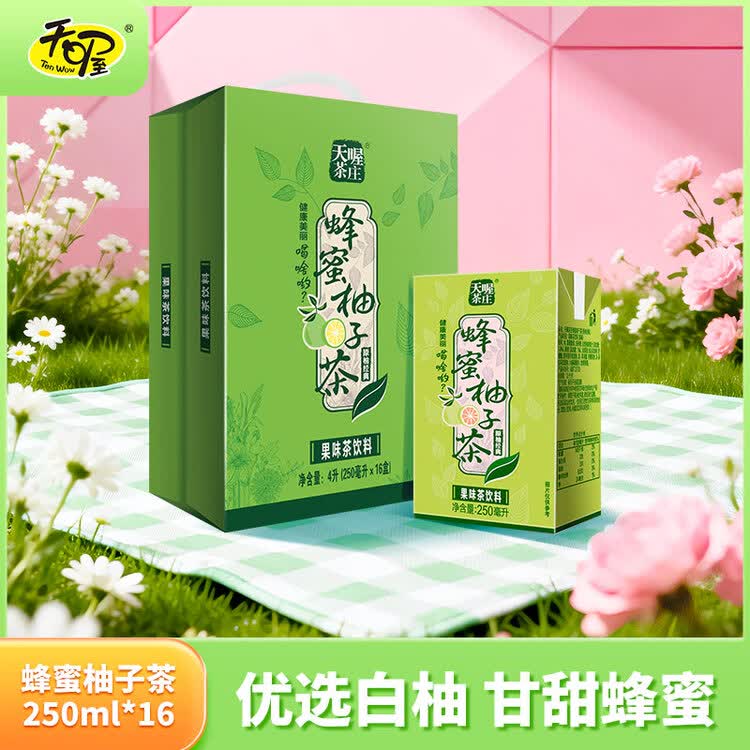 天喔茶庄蜂蜜柚子茶250ml*16整箱装 年货礼盒果味饮料小包便携饮品 菜管家商品