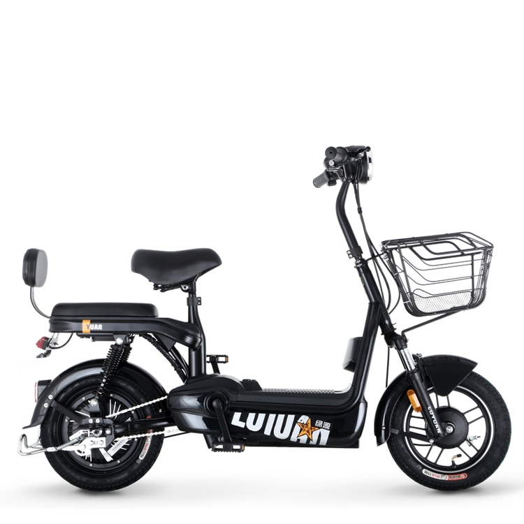 绿源电动自行车新国标小型成人电动车fbr双人男女代步助力电瓶车tdt