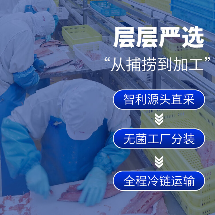 鲜京采 智利大西洋鲑鱼三文鱼段 净重2斤 生鲜鱼类 菜管家商品