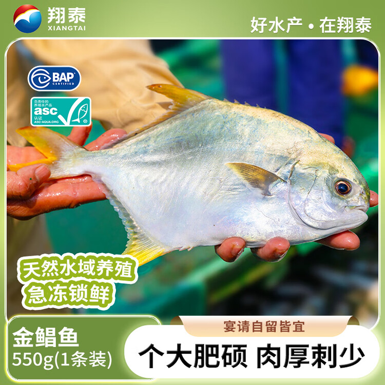 翔泰海南大规格金鲳鱼550g1条海鱼生鲜鱼类火锅 海鲜水产 菜管家商品