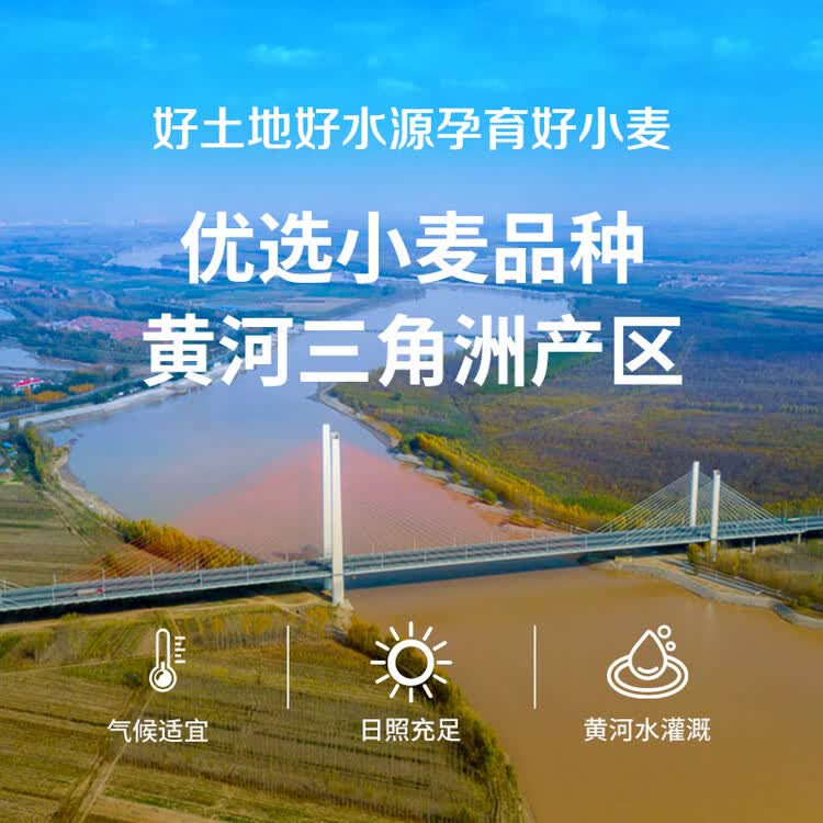 中裕面粉 多用途麦芯粉 馒头包子水饺面条中筋粉家庭通用粉2斤 菜管家商品