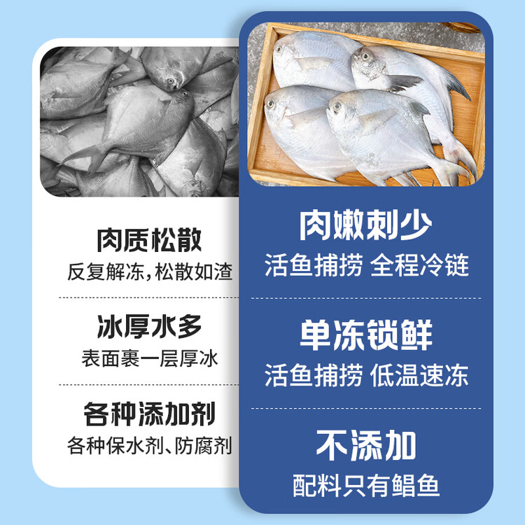 纯色本味冷冻舟山白鲳鱼净重800g银鲳鱼8-12条地标产品 菜管家商品