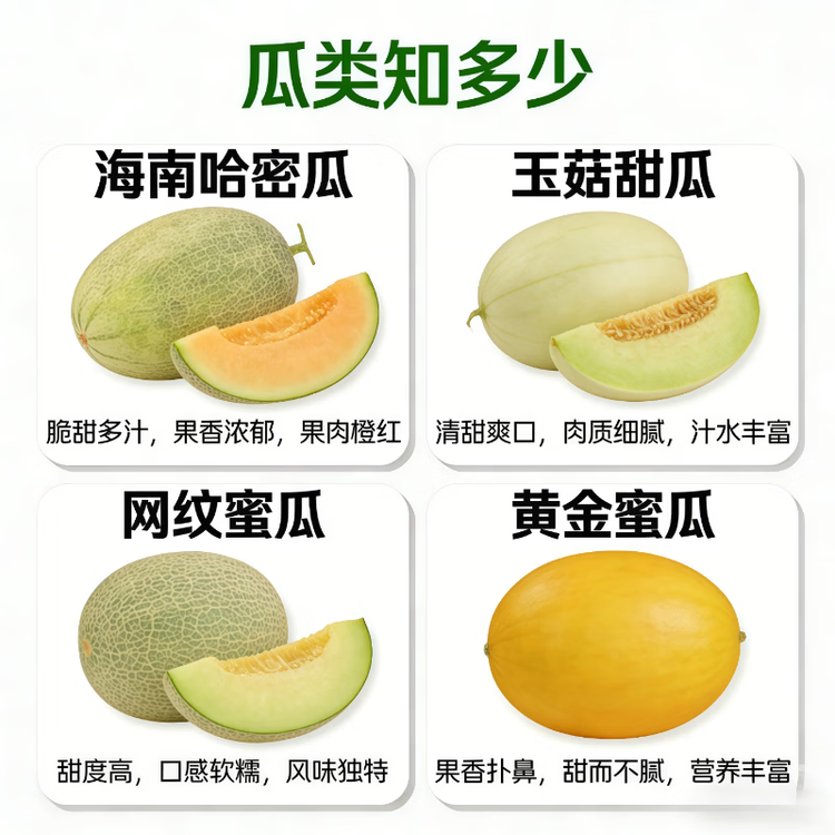 京鲜生 海南哈密瓜 西州蜜/西周蜜 1粒 单果2.5斤起 生鲜水果 菜管家商品