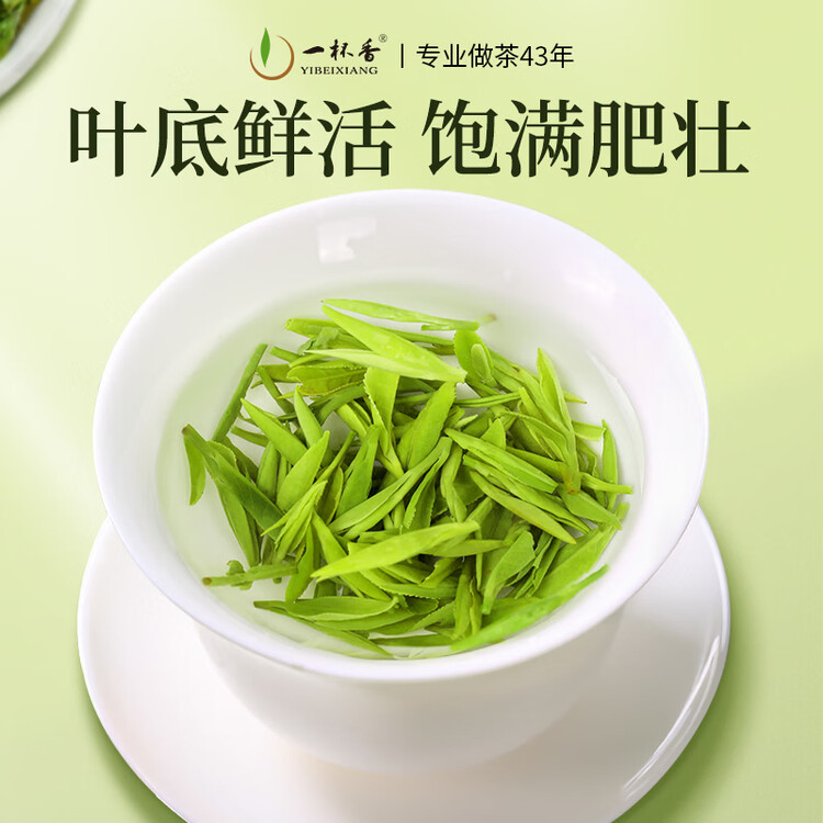 一杯香茶叶绿茶正宗明前龙井茶250g2026新茶春茶礼盒装送礼自己喝散装 菜管家商品