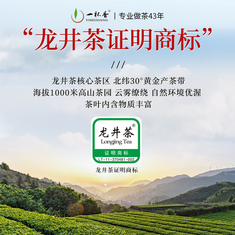 一杯香茶叶绿茶正宗明前龙井茶250g2026新茶春茶礼盒装送礼自己喝散装 菜管家商品