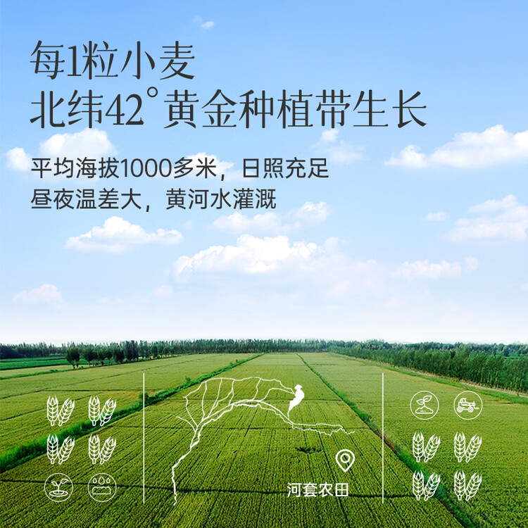 河套雪花粉10斤 中筋麦芯面粉 包子馒头面包小麦粉  中华老字号 菜管家商品