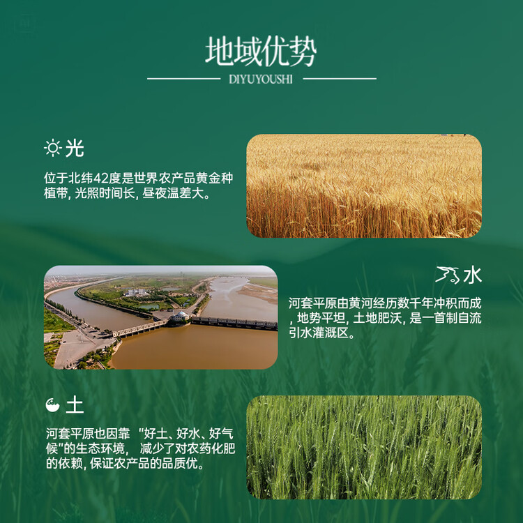 河套雪花粉10斤 中筋麦芯面粉 包子馒头面包小麦粉  中华老字号 菜管家商品