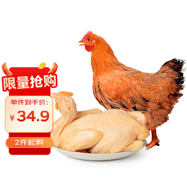 温氏供港黄油鸡2.4斤 冷冻 农家土鸡母鸡走地鸡 散养110天 炸鸡白切 菜管家商品