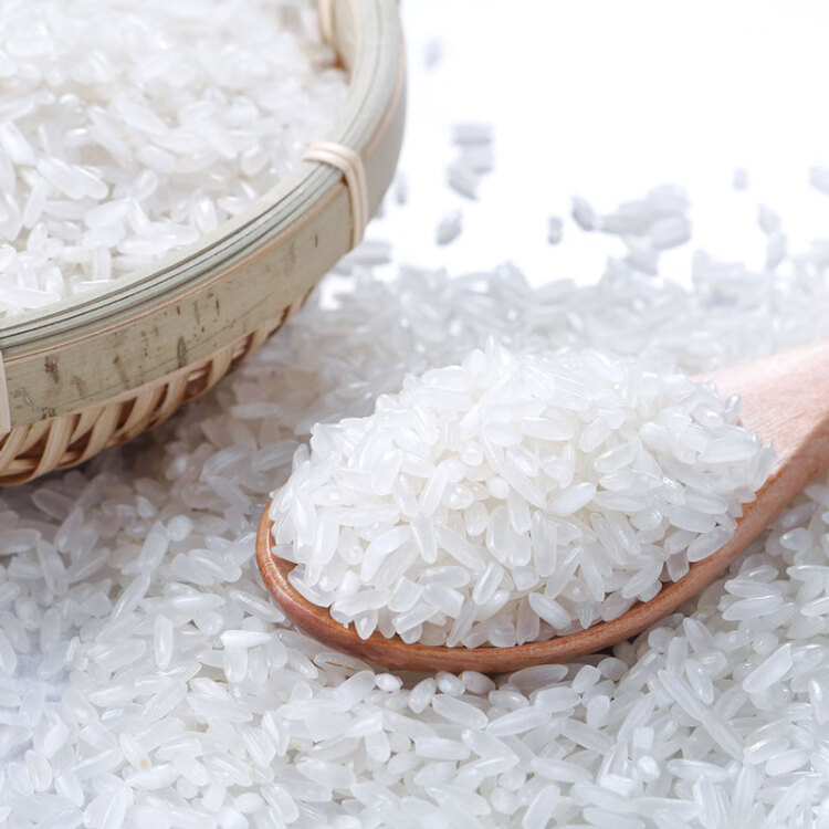 十月稻田 23年新米 生态稻香米 5kg 东北大米  粳米 5公斤 光明服务菜管家商品 