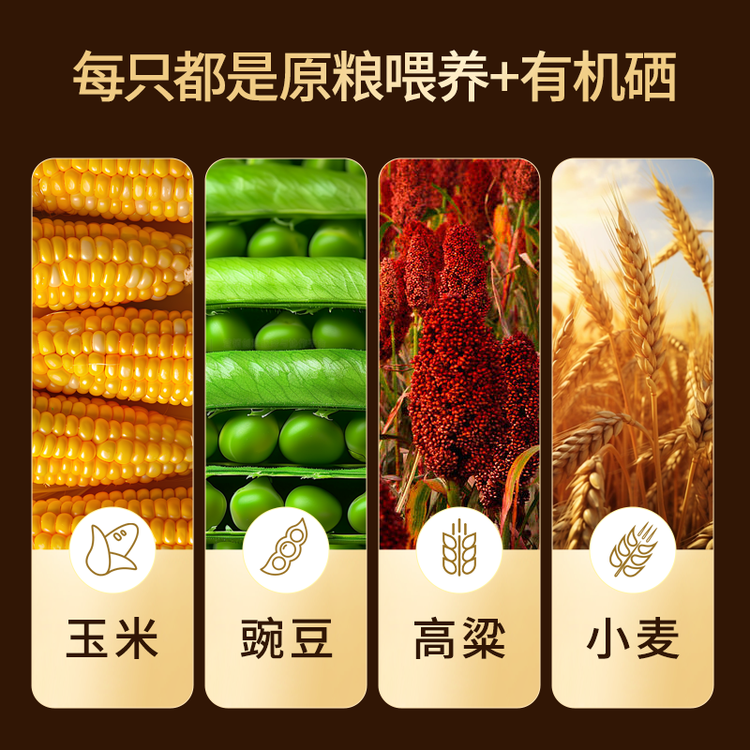 硒全食美富硒乳鸽 300g/只 冷冻 鸽子 全程冷链烧烤食材鸽子肉烤鸽子 菜管家商品