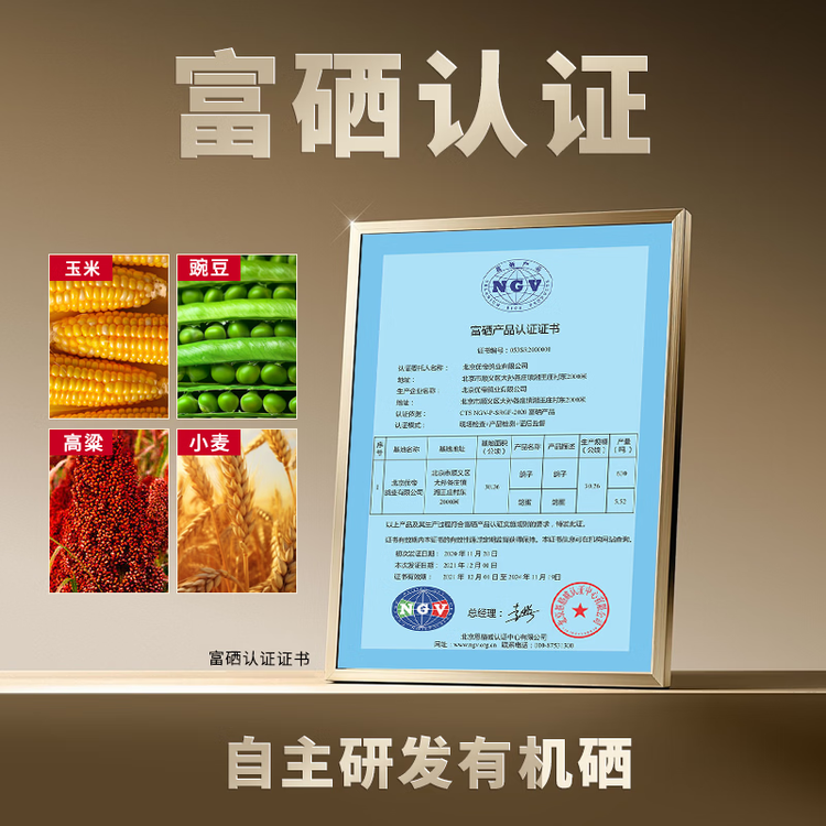 硒全食美富硒乳鸽 300g/只 冷冻 鸽子 全程冷链烧烤食材鸽子肉烤鸽子 菜管家商品