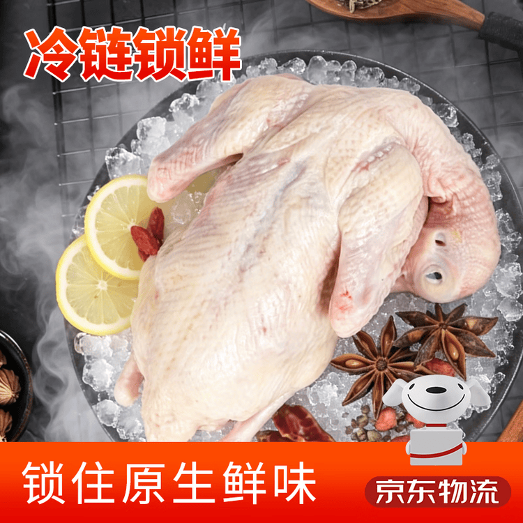硒全食美富硒鸽王 350g/只 冷冻 鸽子煲汤 鸽子肉鸽子汤烧烤鸽子生鲜 菜管家商品