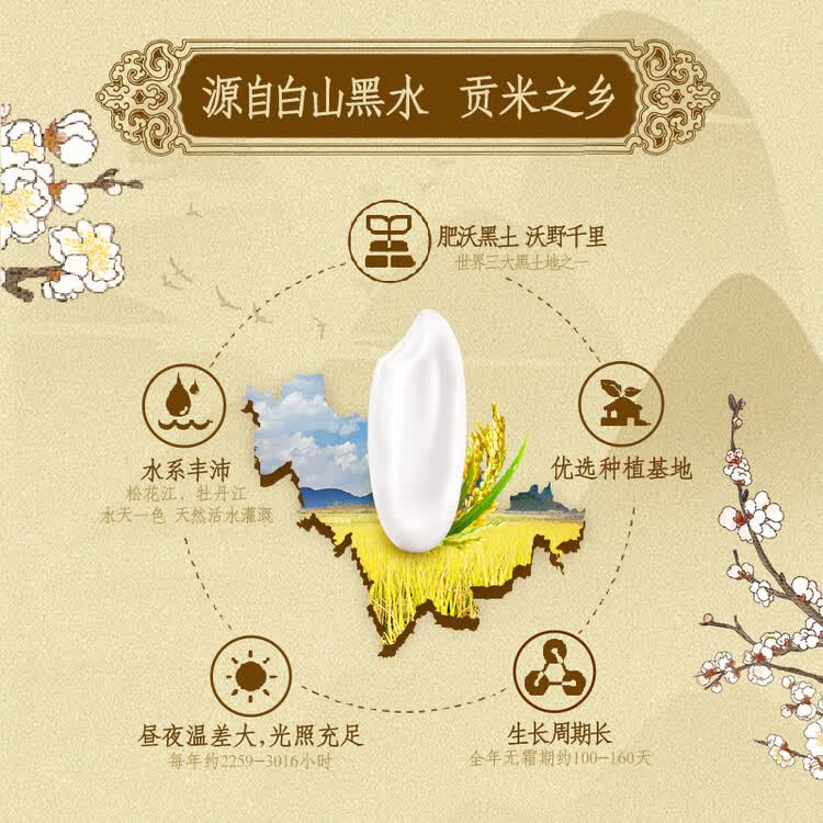 金龙鱼乳玉皇妃 新季稻谷 香稻贡米 东北大米 香米 粳米5kg 菜管家商品