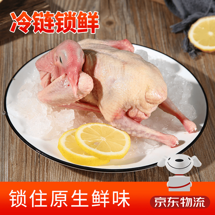 硒全食美富硒乳鸽 300g/只 冷冻 鸽子 全程冷链烧烤食材鸽子肉烤鸽子 菜管家商品