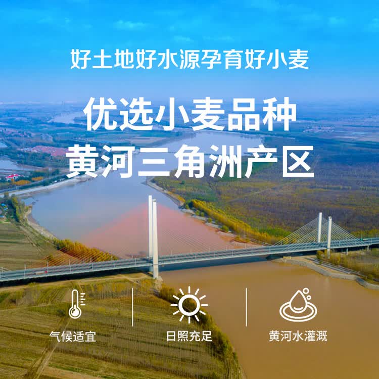中裕面粉 精制小麦粉 馒头包子通用家用白面中筋面粉10斤 菜管家商品