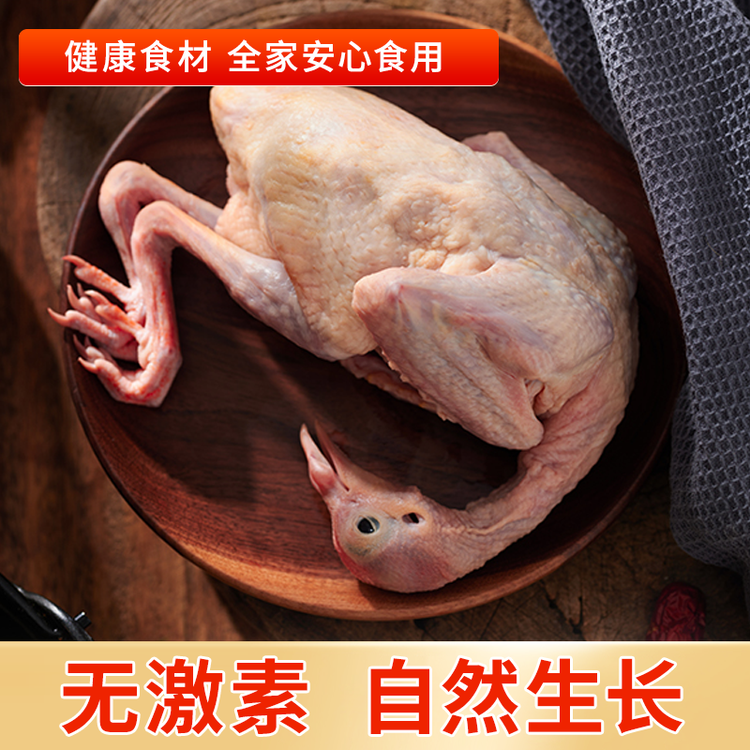硒全食美富硒鸽王 350g/只 冷冻 鸽子煲汤 鸽子肉鸽子汤烧烤鸽子生鲜 菜管家商品