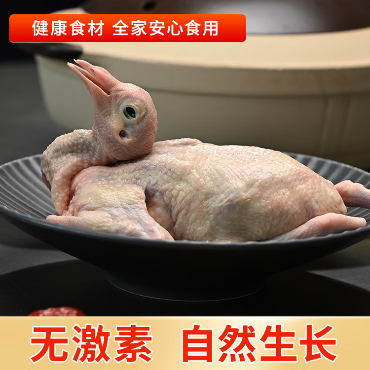 硒全食美富硒乳鸽 300g/只 冷冻 鸽子 全程冷链烧烤食材鸽子肉烤鸽子 菜管家商品