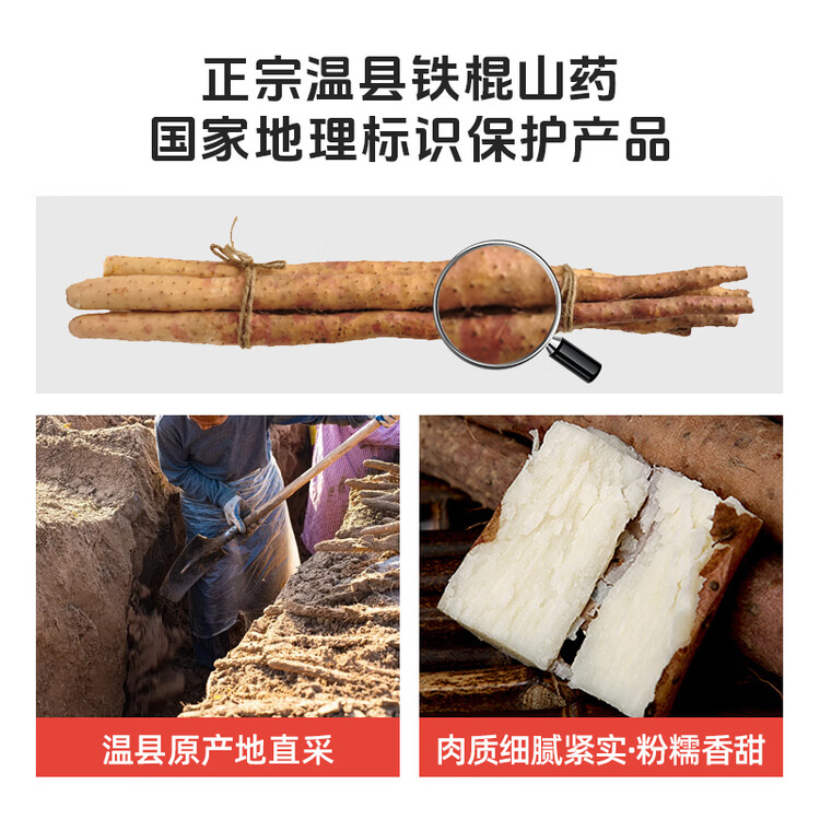 京鲜生&聚怀斋焦作温县 沙土铁棍山药净重6斤(盒长80/90公分)端午节礼盒 菜管家商品