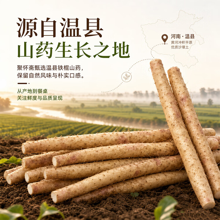 京鲜生&聚怀斋焦作温县 沙土铁棍山药净重6斤(盒长80/90公分)端午节礼盒 菜管家商品