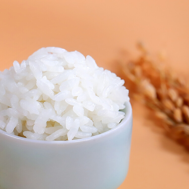 十月稻田 2023年新米 长粒香大米 东北大米 香米 5kg 光明服务菜管家商品 