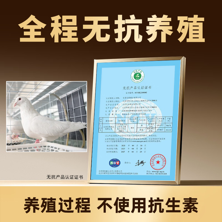 硒全食美无抗富硒乳鸽 300g/只 冷冻 鸽子 全程冷链烧烤食材鸽子肉烤鸽子 菜管家商品