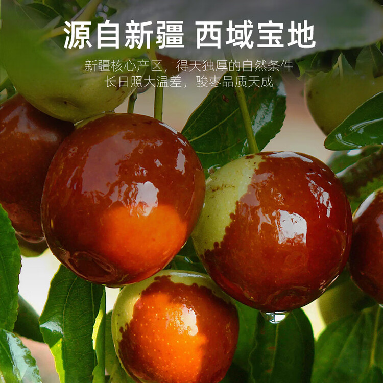 杞里香红枣500g（2袋装）新疆大枣 皮薄香甜骏枣果干红枣煮粥泡茶端午礼 菜管家商品